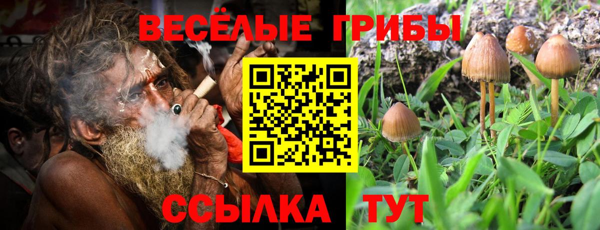 Псилоцибиновые грибы мухоморы  Вход с VPN  Псилоцибиновые грибы MAGIC MUSHROOMS  Надым 
